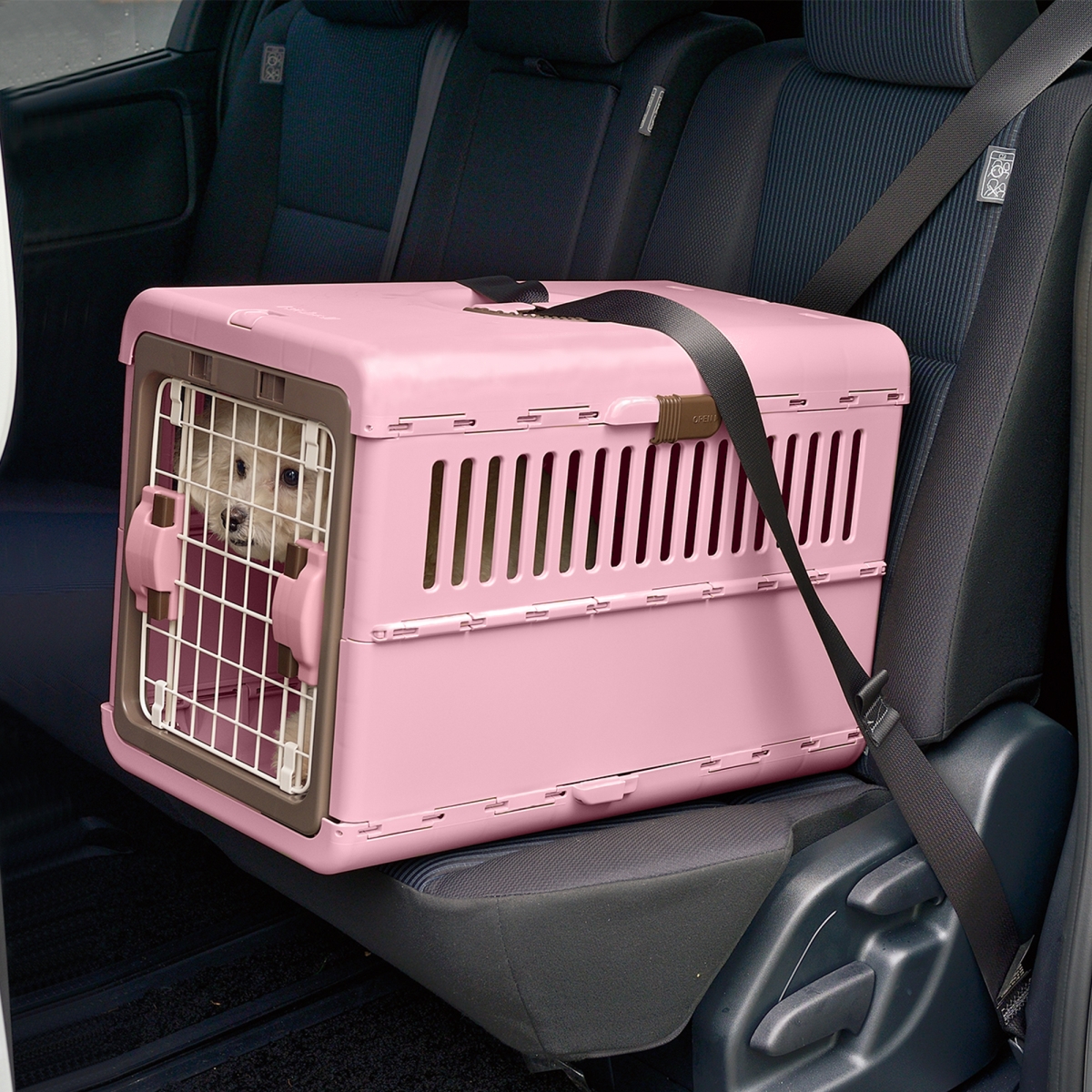 Picture of Richell 80047 Foldable Pet Carrier Small