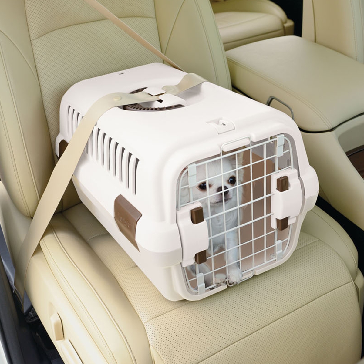 Picture of Richell 80027  Pet Travel Carrier Small - White