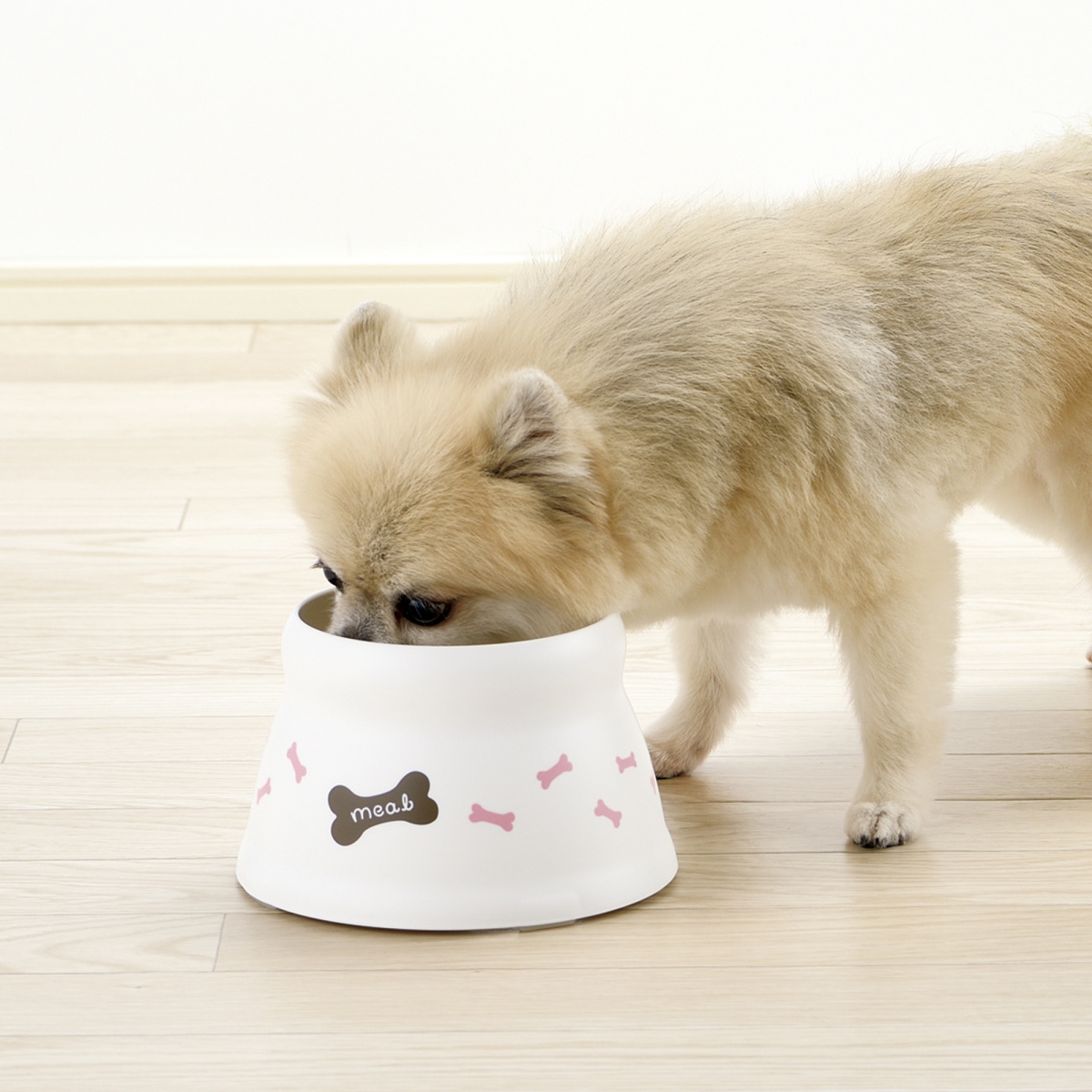 Picture of Richell 50010  Raised Dog Bowl Small