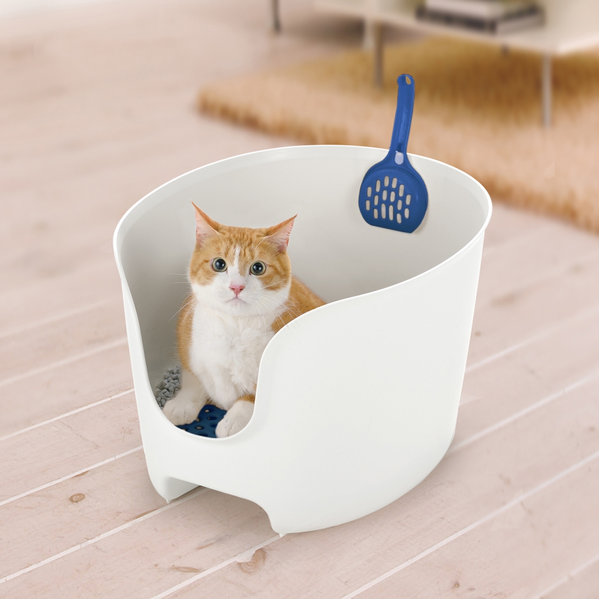 Picture of Richell 60020 Richell 60020 PAW TRAX High Wall Cat Litter Box - White/Blue