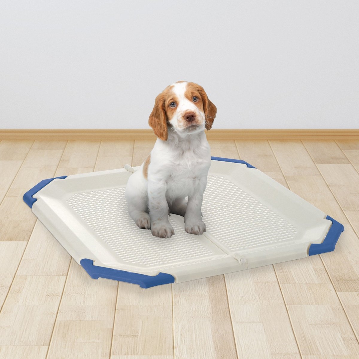 Picture of Richell 60017 Richell 60017 PAW TRAX Mesh Potty Holder White&Blue