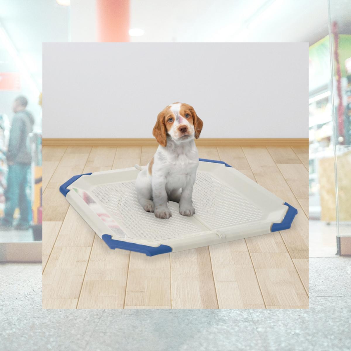 Picture of Richell 60017 Richell 60017 PAW TRAX Mesh Potty Holder White&Blue