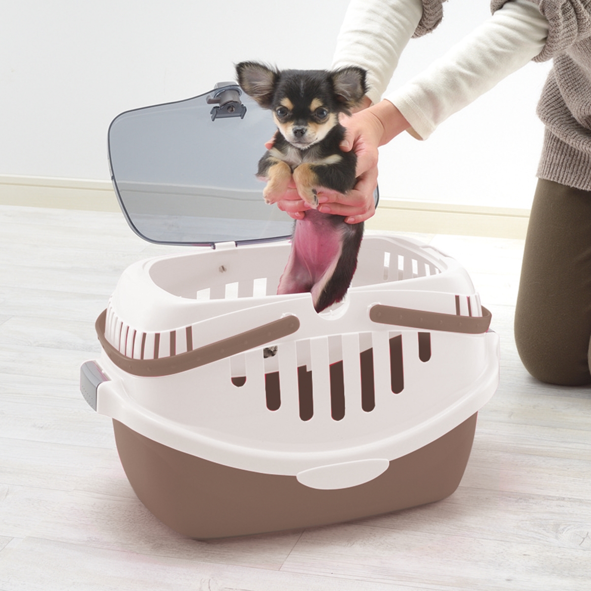 Picture of Richell 80041 Small Animal, Kitten, Puppy Carrier