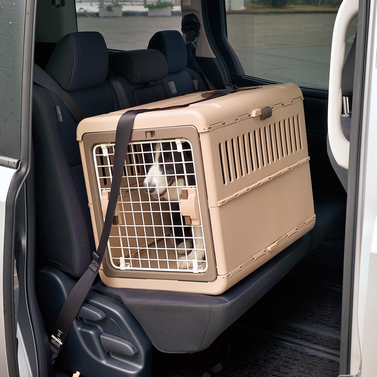 Picture of Richell USA 80049 Foldable Pet Carrier M
