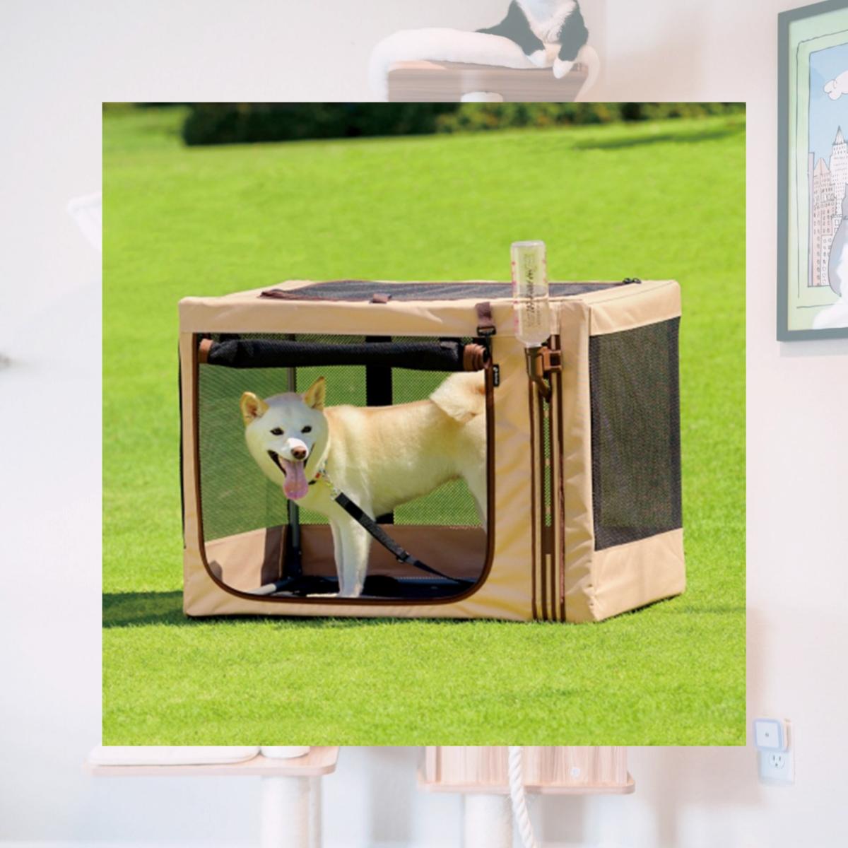 Picture of Richell 80067 Foldable Travel 3-Way Pet Crate - Medium