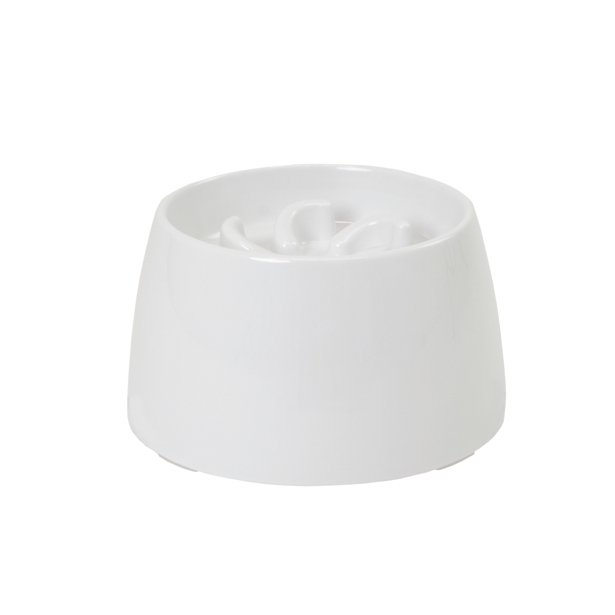 803840500156 Raised Slow Feeder Bowl