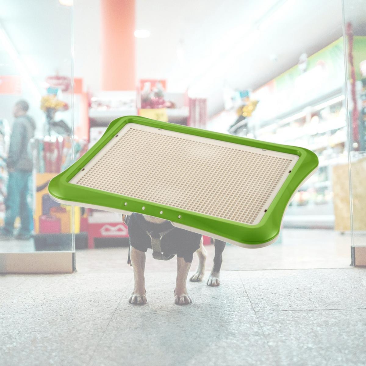 Picture of Richell 94554 PAW TRAX Mesh Training Tray Green