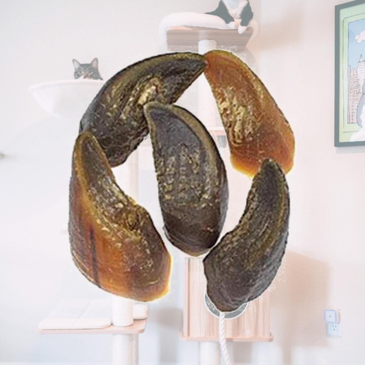 Picture of Jones Naturals 090-00901 Chews Beef Hooves Each Bulk
