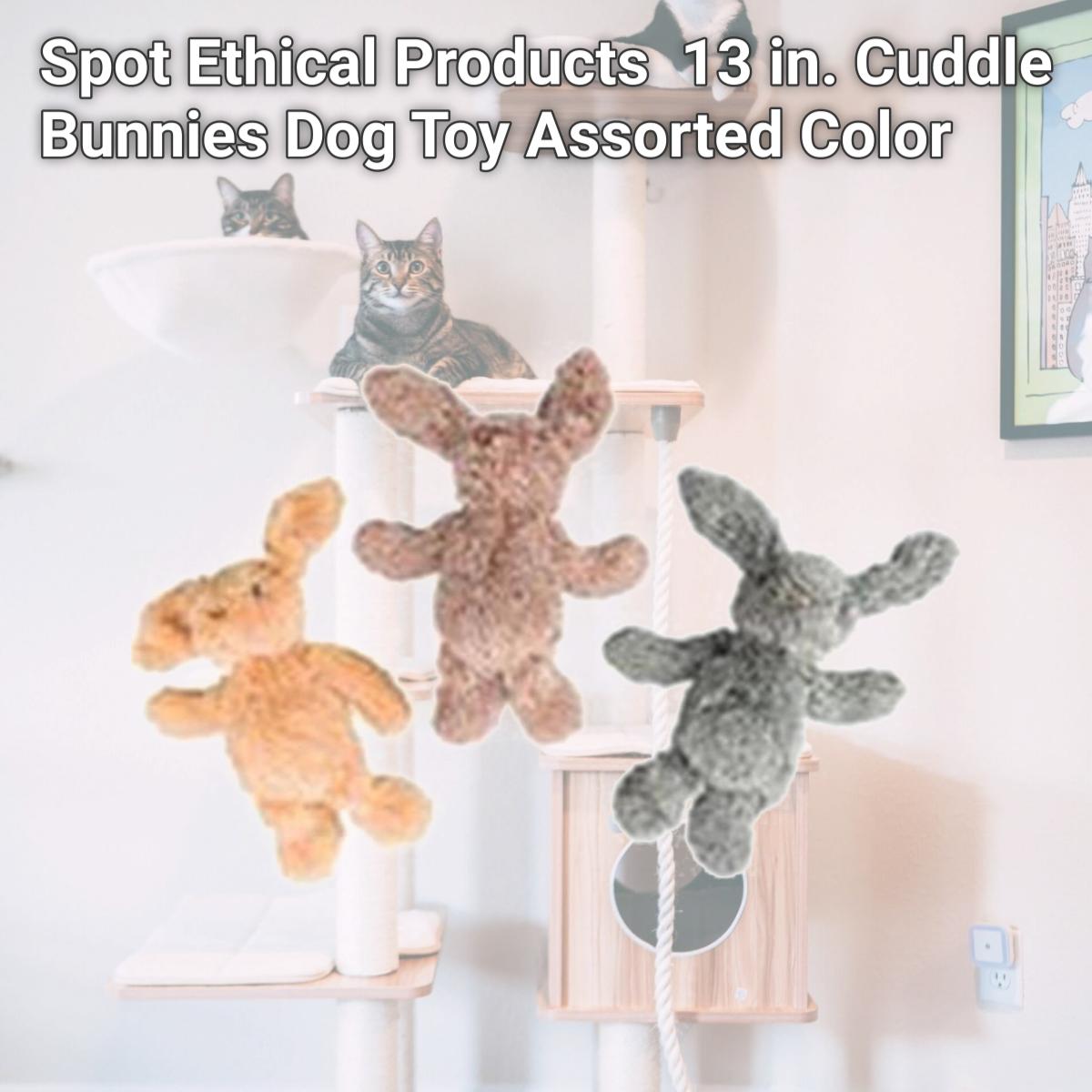 Picture of Spot Ethical Products 685-54130 13 in. Cuddle Bunnies Dog Toy, Assorted Color