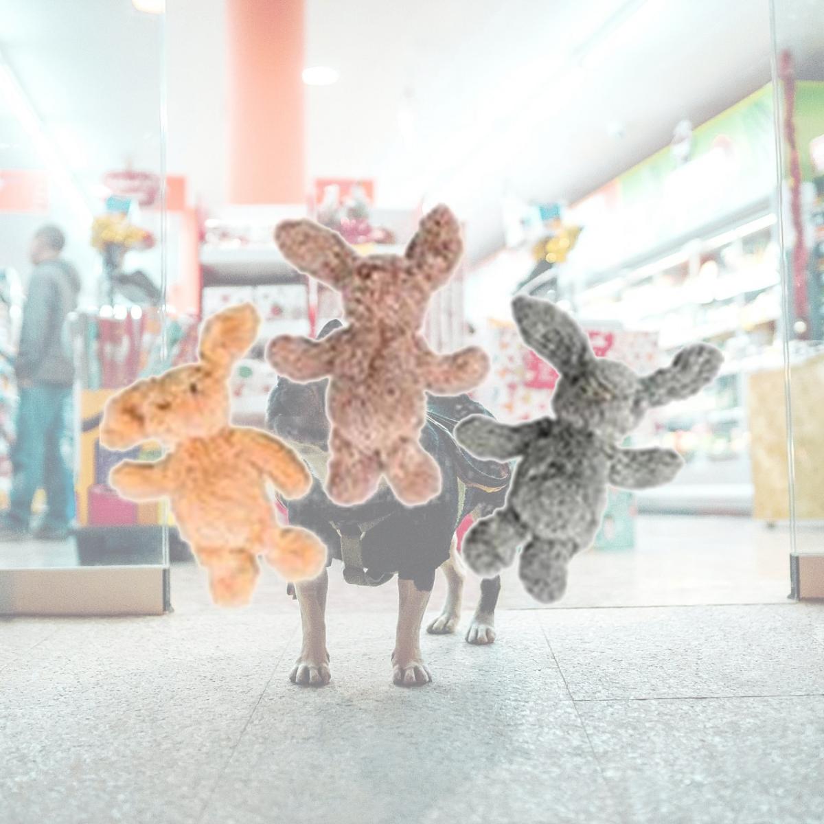 Picture of Spot Ethical Products 685-54130 13 in. Cuddle Bunnies Dog Toy, Assorted Color