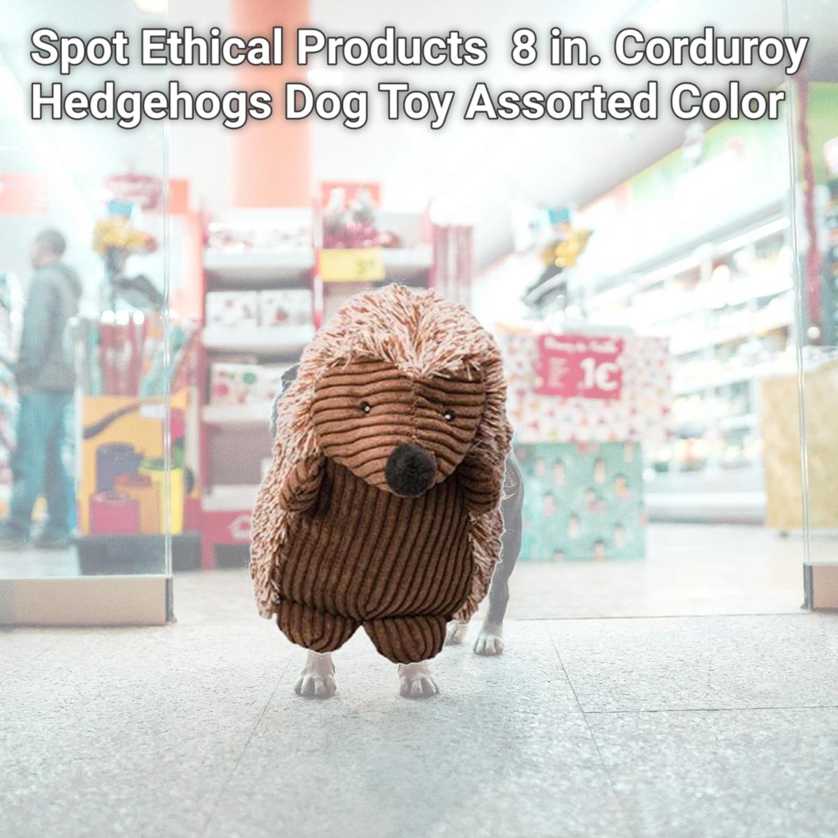Picture of Spot Ethical Products 685-54127 8 in. Corduroy Hedgehogs Dog Toy, Assorted Color