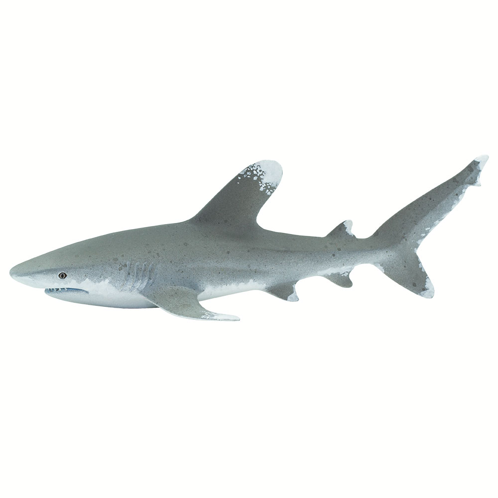 Safari 100271 Oceanic Whitetip Shark Figurine, Multi Color