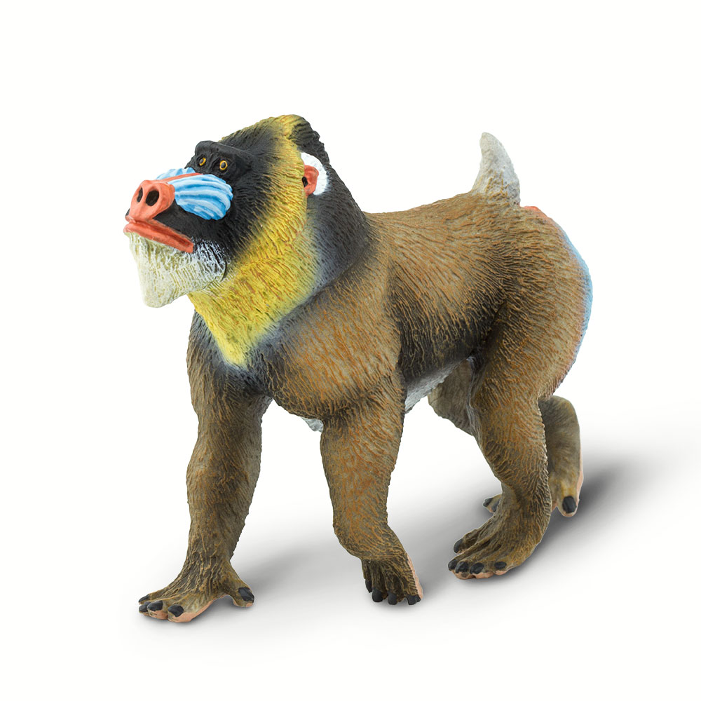 Safari 100273 Mandrill Figurine, Multi Color