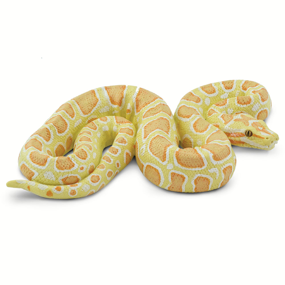 Safari  Albino Burmese Python Figurine, Multi Color