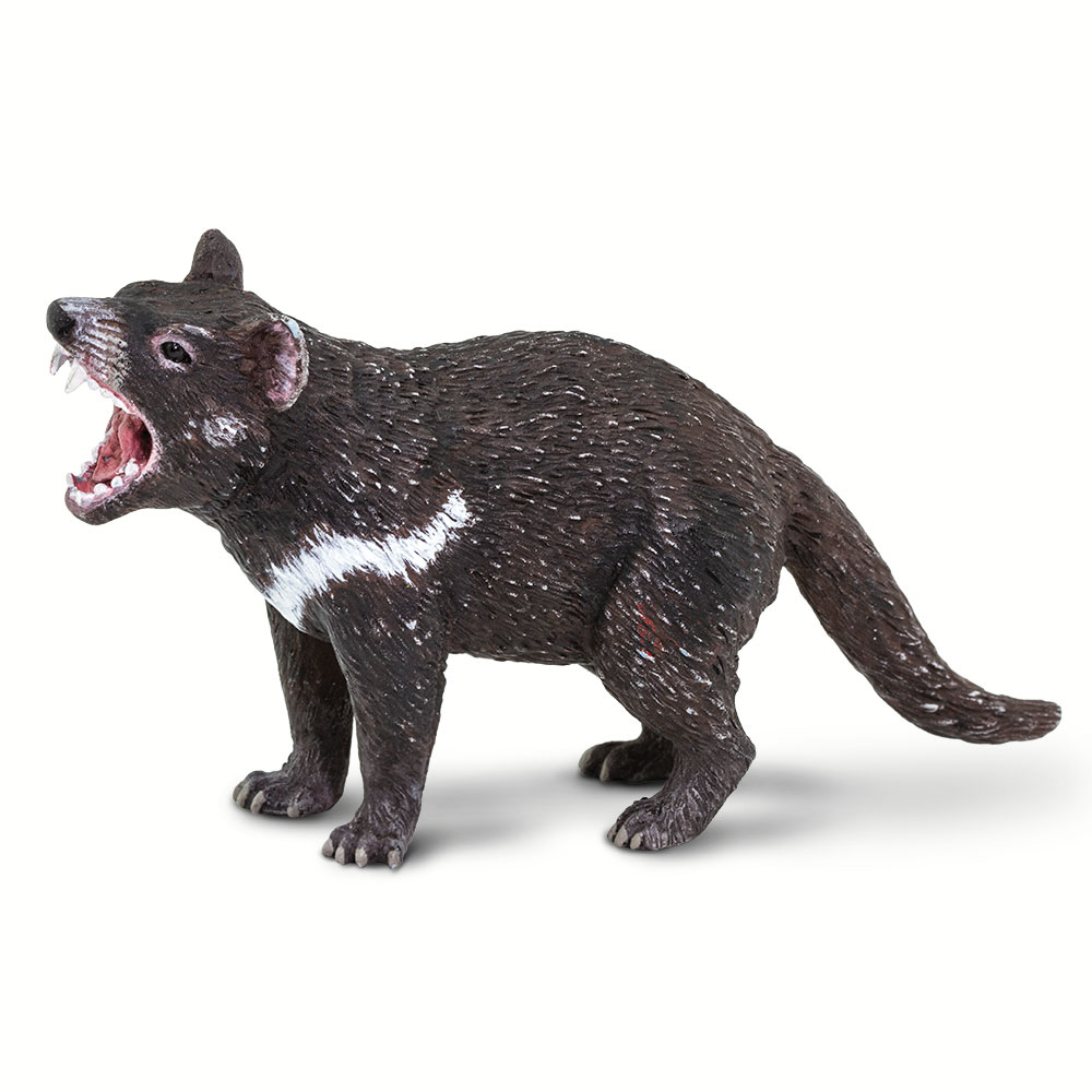 Safari 100247 Tasmanian Devil Figurine, Multi Color