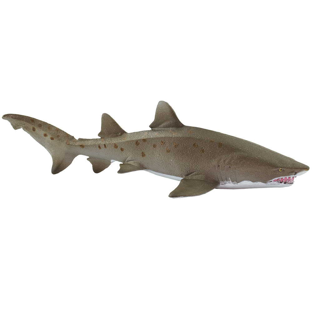 Safari  Sand Tiger Shark Figurine, Multi Color