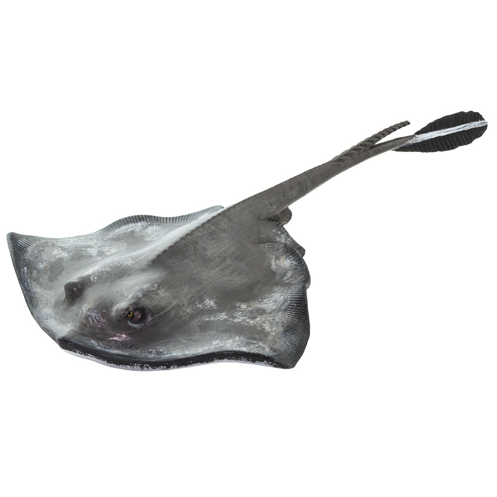 Safari 100507 Sting Ray Figurine, Multi Color