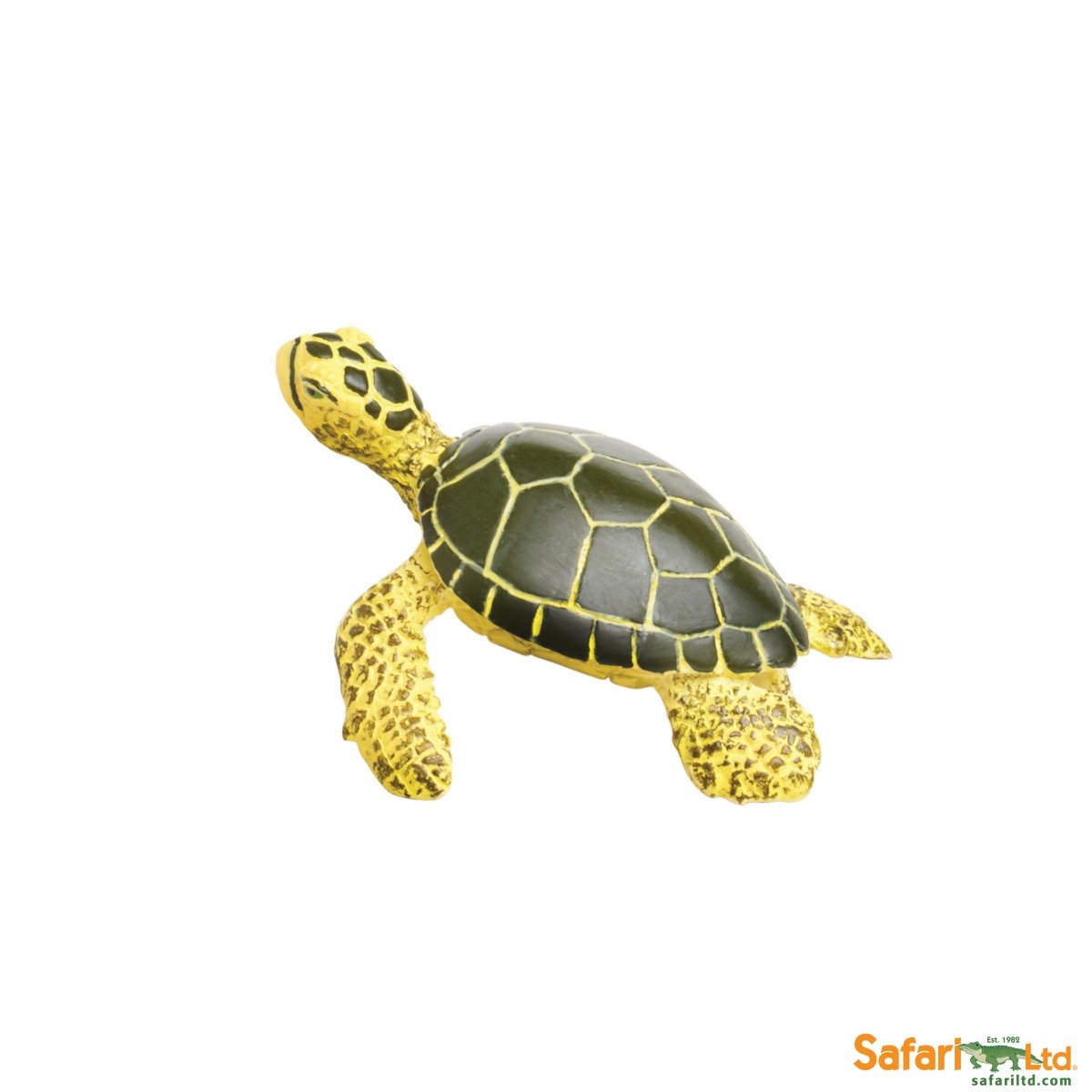 Picture of Safari 201329 Green Sea Turtle Baby Figurine&#44; Multi Color