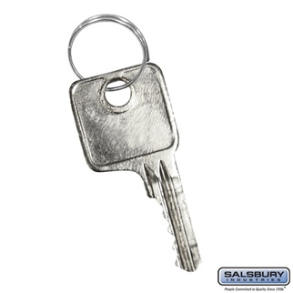44421 0.75 x 1.75 x 0.25 in. Master Control Key for Combination Padlock of Heavy Duty Plastic Locker