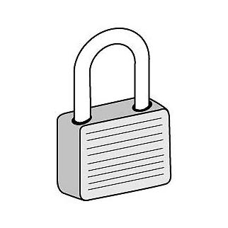 Key Padlock for Bulk Storage Locker Door with 2 Keys