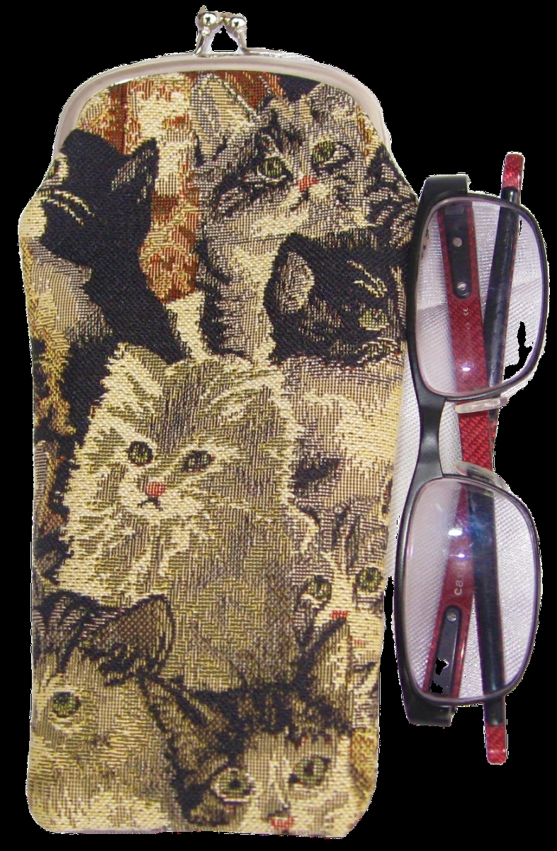 Tapestry Eyeglass Bag with Clasp - Cat