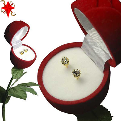 E2250W Rose Box Earrings white gold
