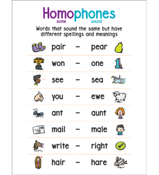 Picture of Scholastic 823381 Anchor Chart Homophones
