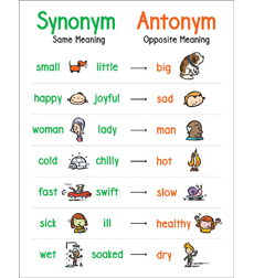 Picture of Scholastic 823382 Anchor Chart Synonym & Antonym