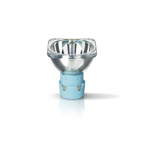Replacement Projector Lamp with Bulb for Light Sky Bumblebee