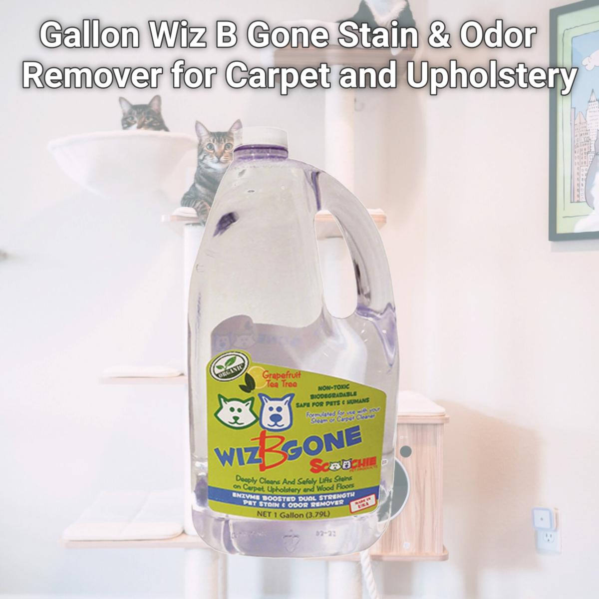 Picture of Schoochie Pet 110 Gallon Wiz B Gone Stain & Odor Remover for Carpet and Upholstery