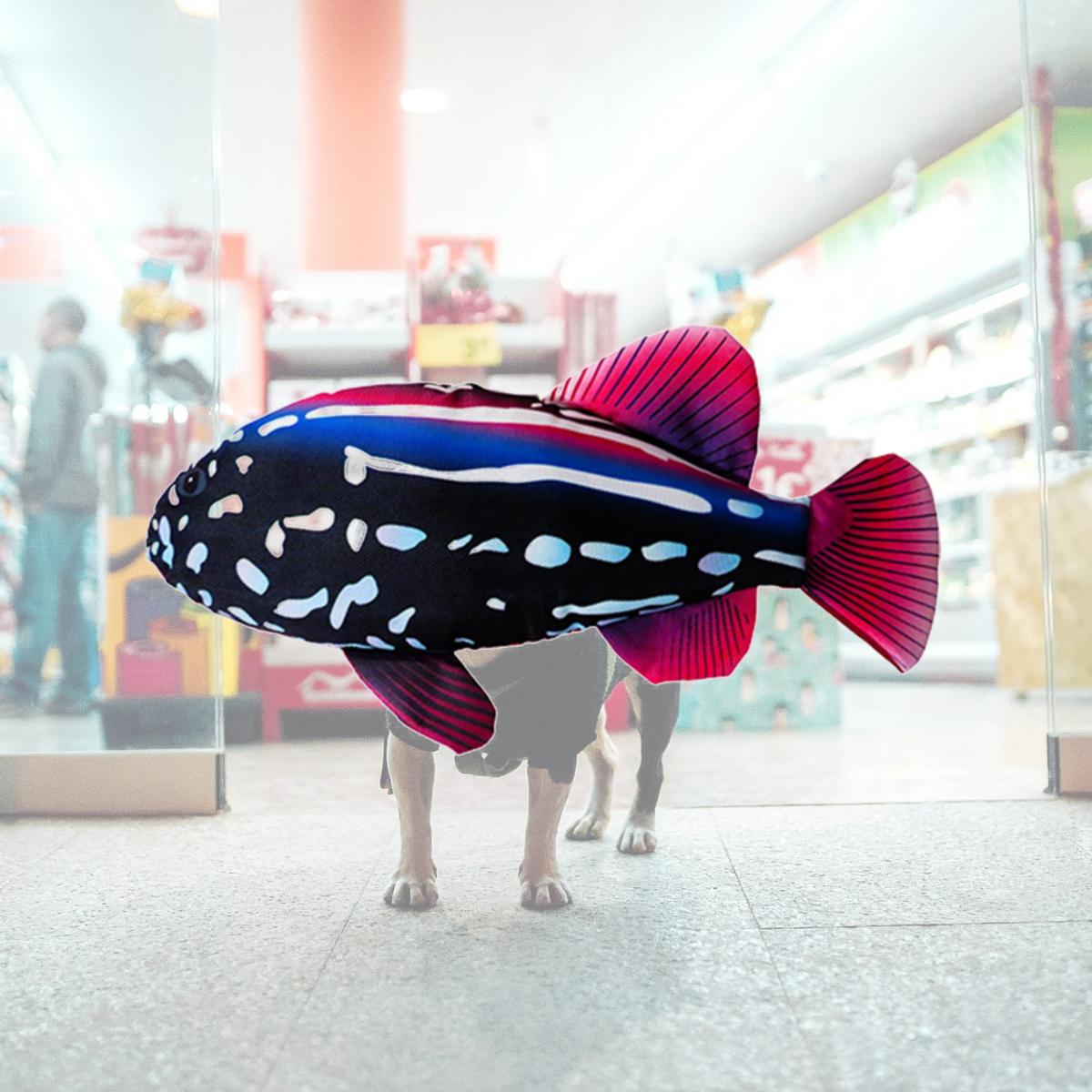 Picture of Schoochie Pet 534 Scoochzilla Grouper Plush Toys- 18 in.