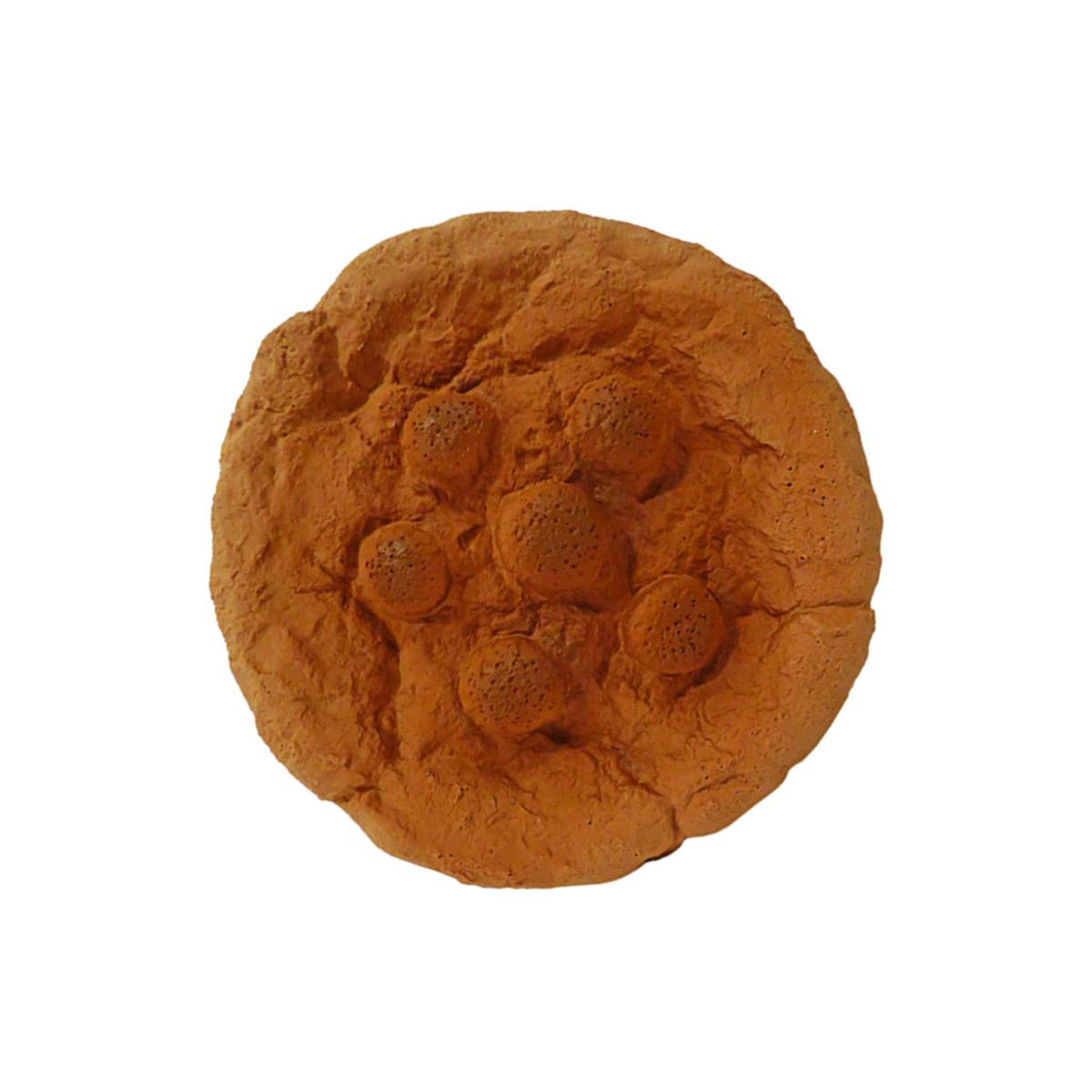 Picture of Schoochie Pet 701 Premium Stuffed Latex Totally Soft Cookie Toys- 7 in.