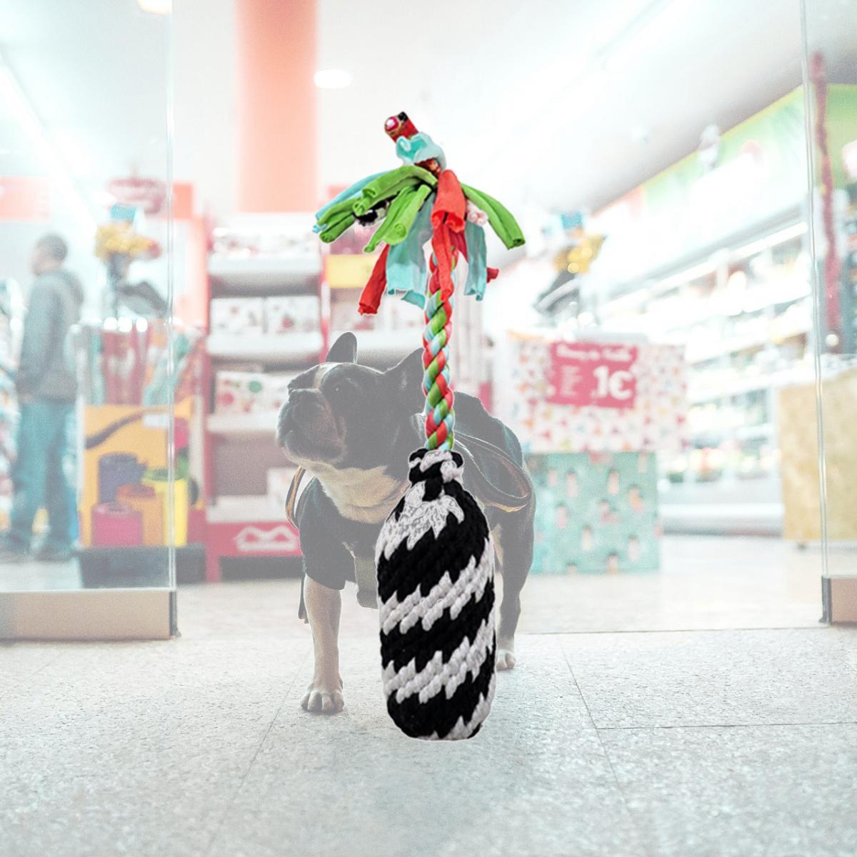 Picture of Schoochie Pet 525 Large Super Firecracker Rope Dog Toys- 12 in.