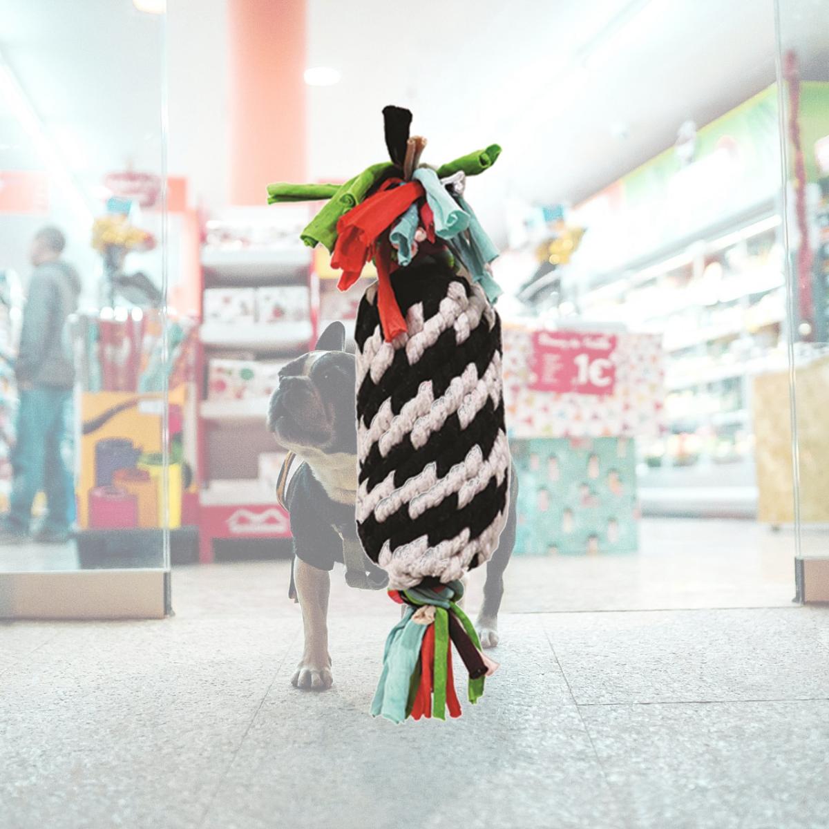 Picture of Schoochie Pet 533 Super Rope Gummer with Squeaker Dog Toy- 11 in.