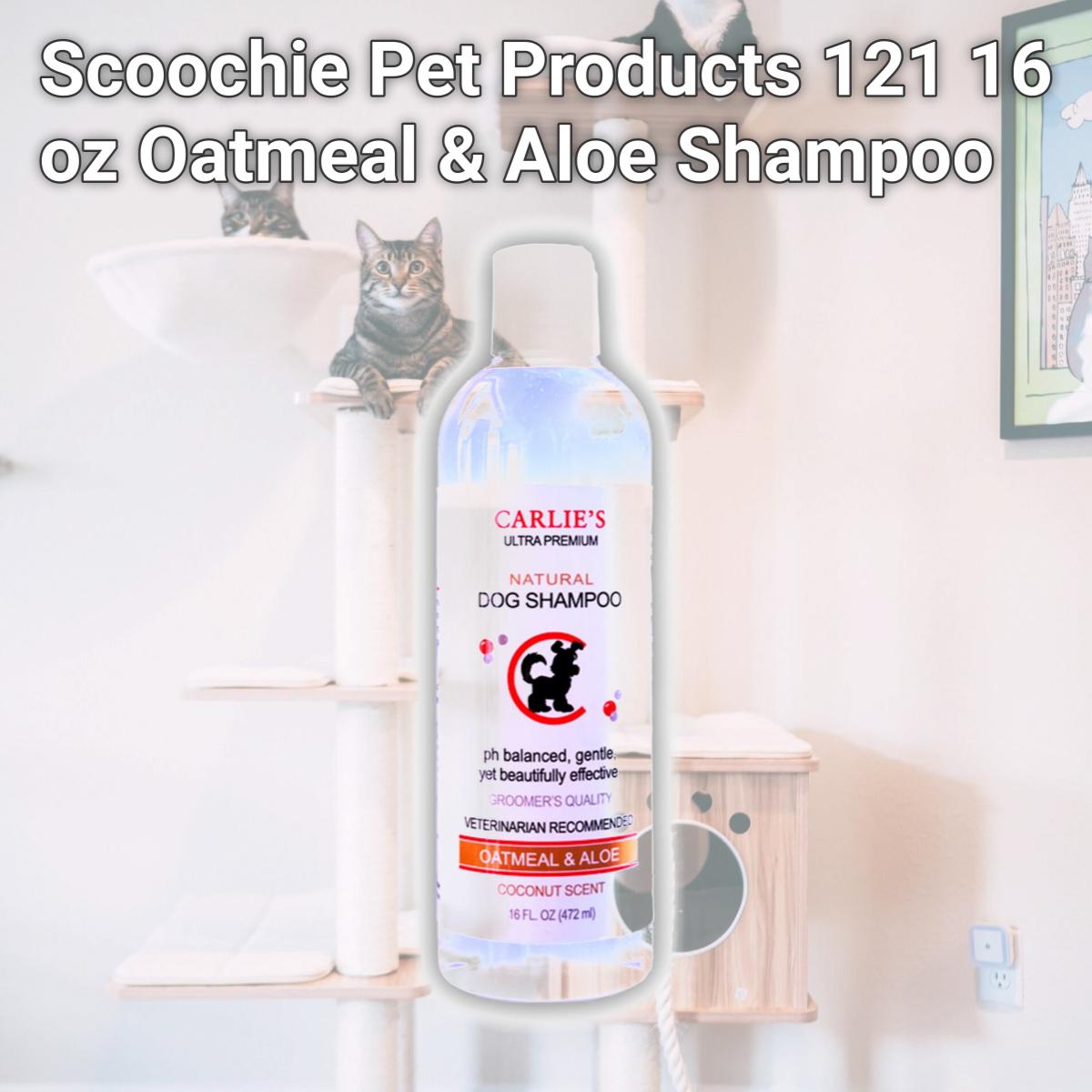Picture of Scoochie Pet Products 121 16 oz Oatmeal & Aloe Shampoo
