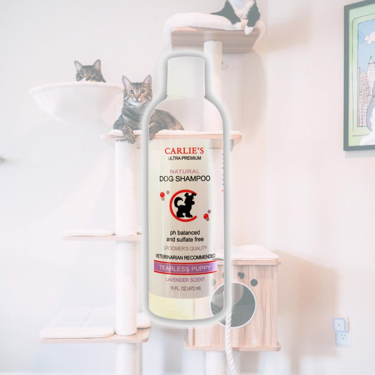 Picture of Scoochie Pet Products 122 16 oz Puppy Tearless Shampoo