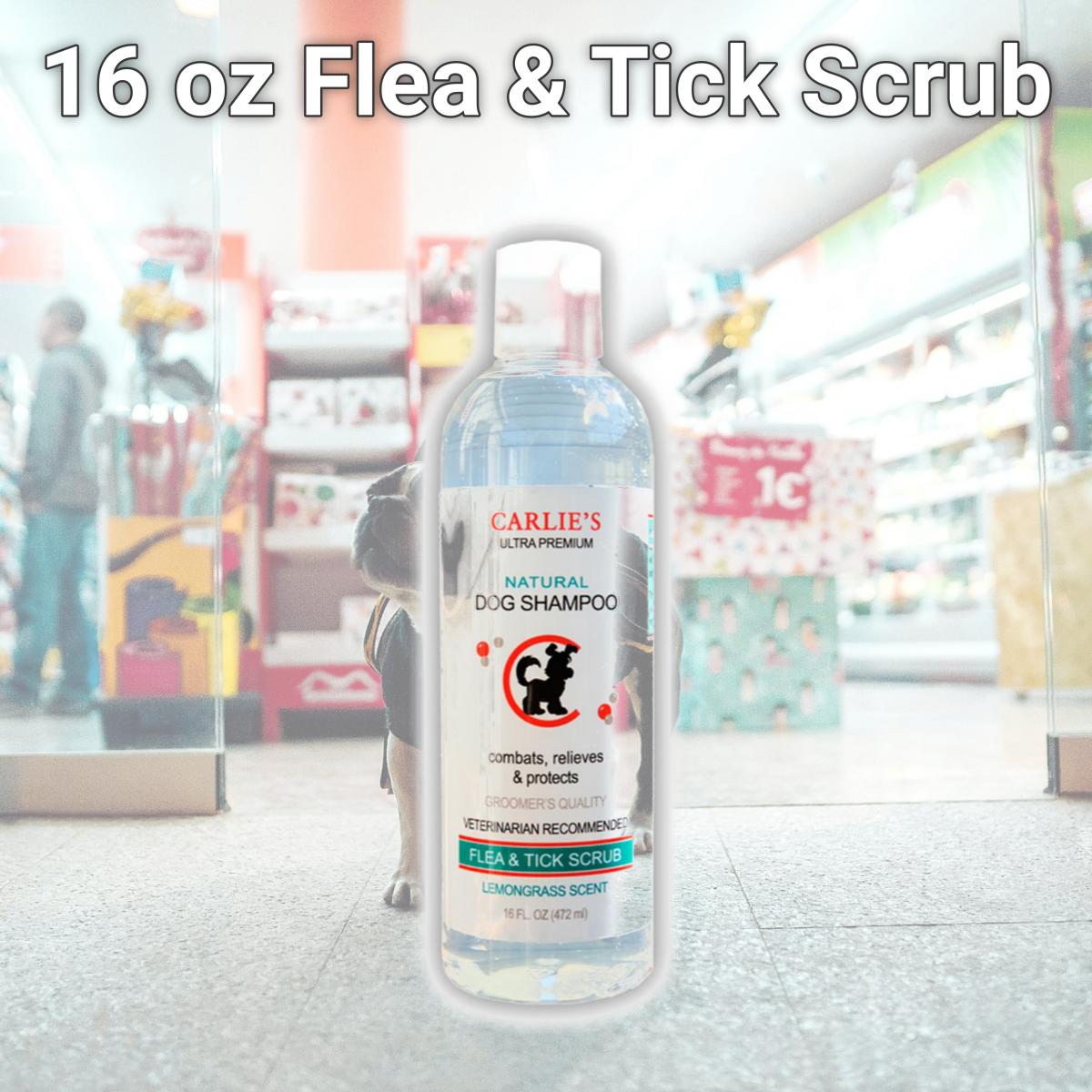 Picture of Scoochie Pet Products 124 16 oz Flea & Tick Scrub