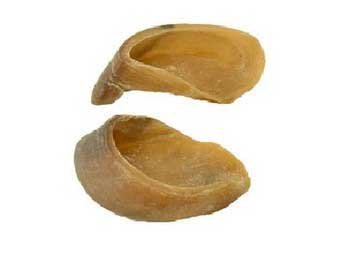81R Natural Cow Hooves 100 Count