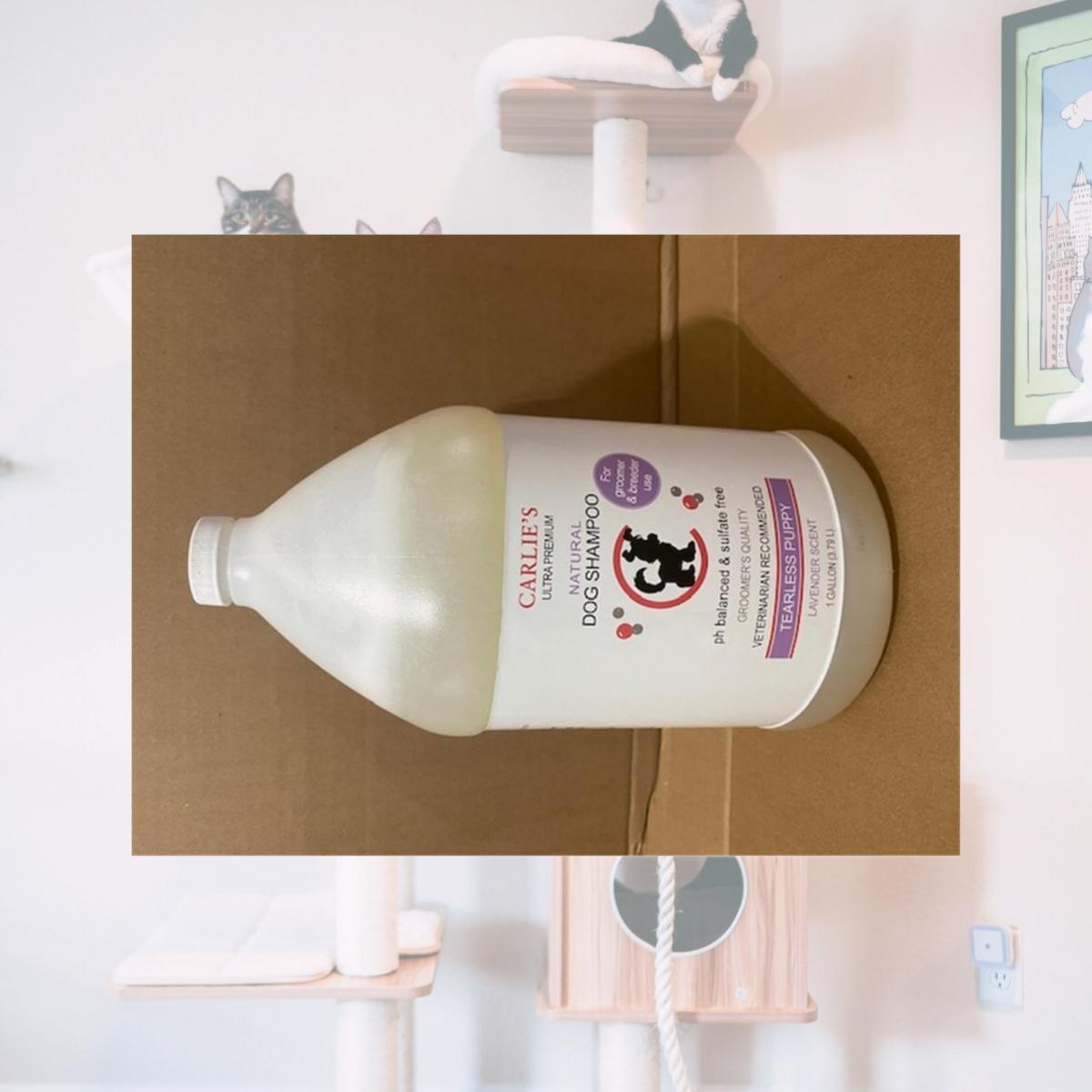 Picture of Scoochie Pet 138 Carlies Untra Premium Puppy Groomer Bottle Tearless Shampoo for Dogs, Lavender Scent
