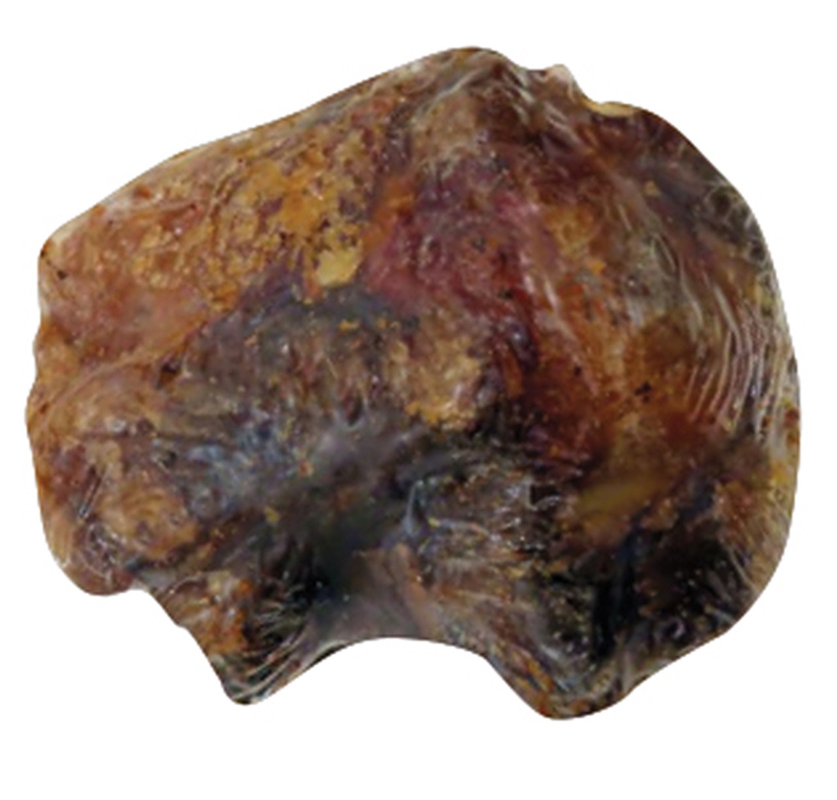 Picture of Scoochie Pet Products 263 Meaty Natural Knee Cap Bone - Small - PDQ of 12