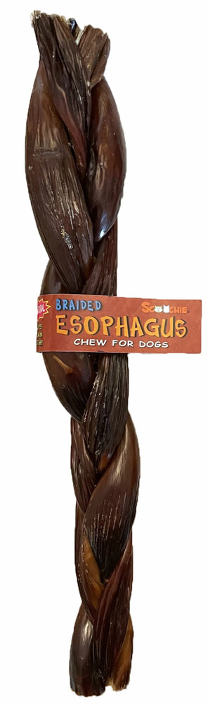 Picture of Scoochie Pet Products 608 12 in. Braided Esophagus Stick with Cigar Band