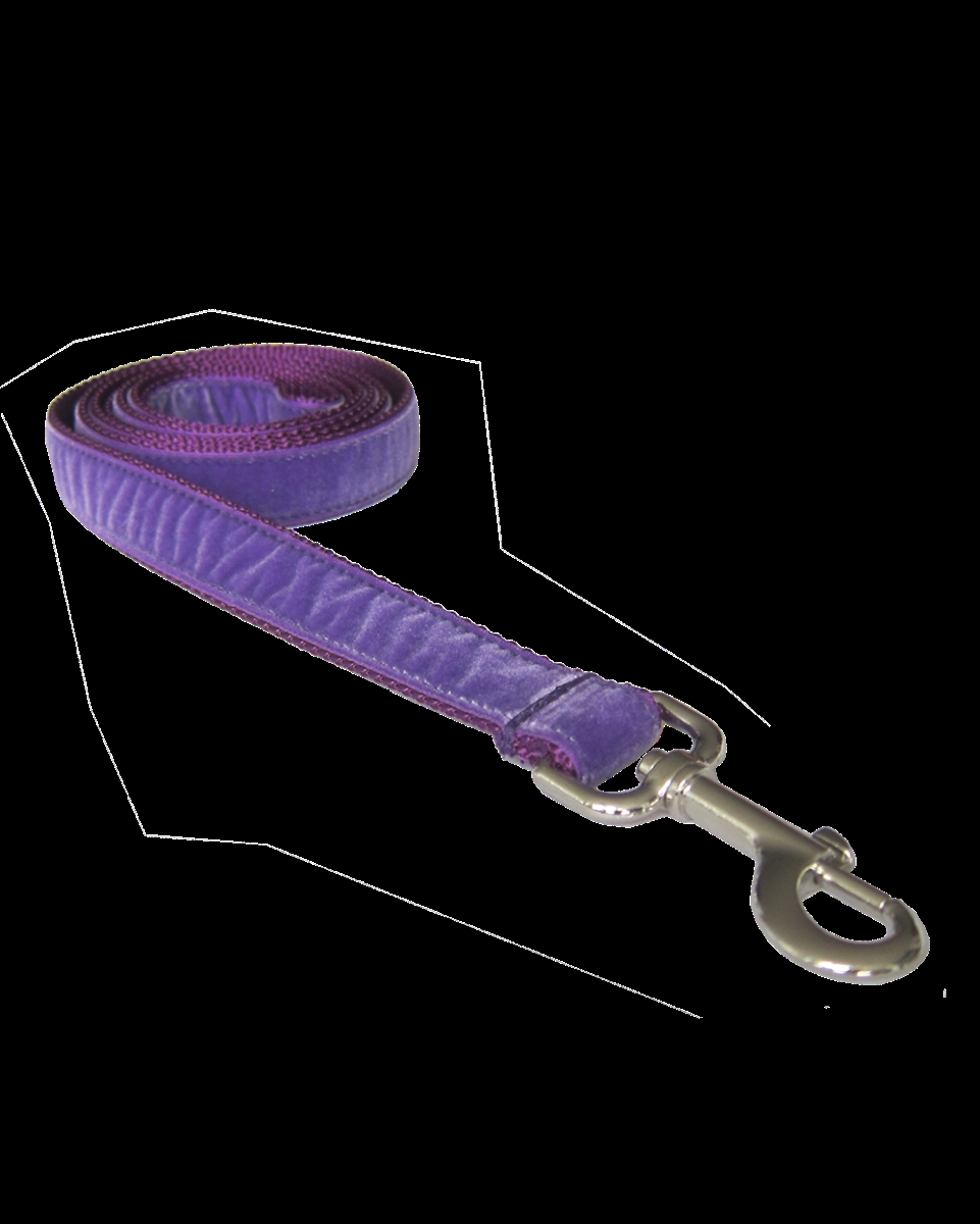 Picture of Sassy Dog Wear VELVET PURPLE2-L Velvet Purple Dog Leash - Small