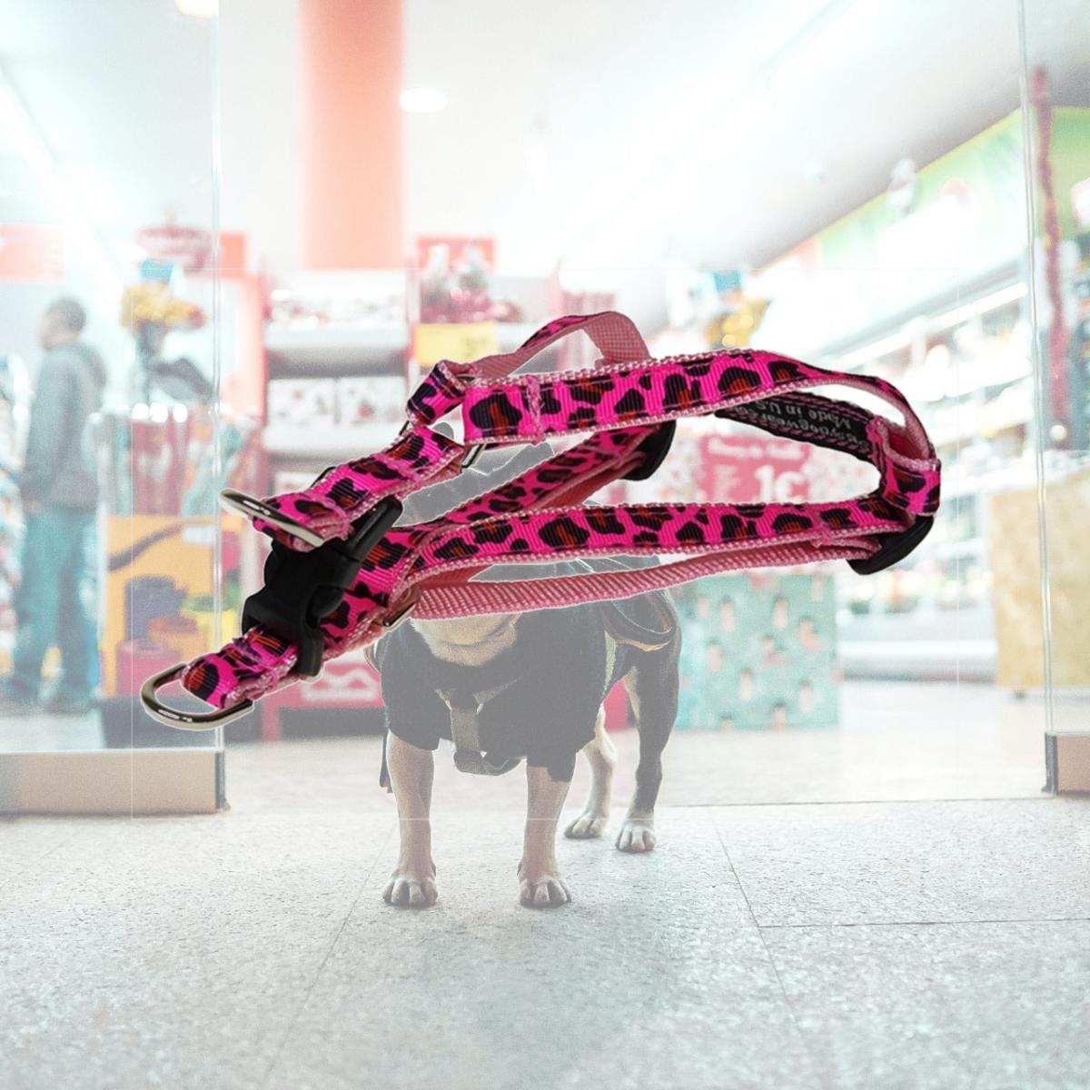 Picture of Sassy Dog Wear LEOPARD-FRUIT PUNCH1-H Leopard Dog Harness- Pink - Extra Small
