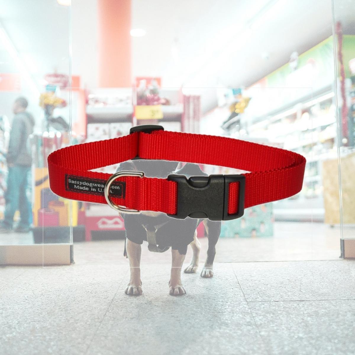 Picture of Sassy Dog Wear SOLID RED MED-C Nylon Webbing Dog Collar- Red - Medium