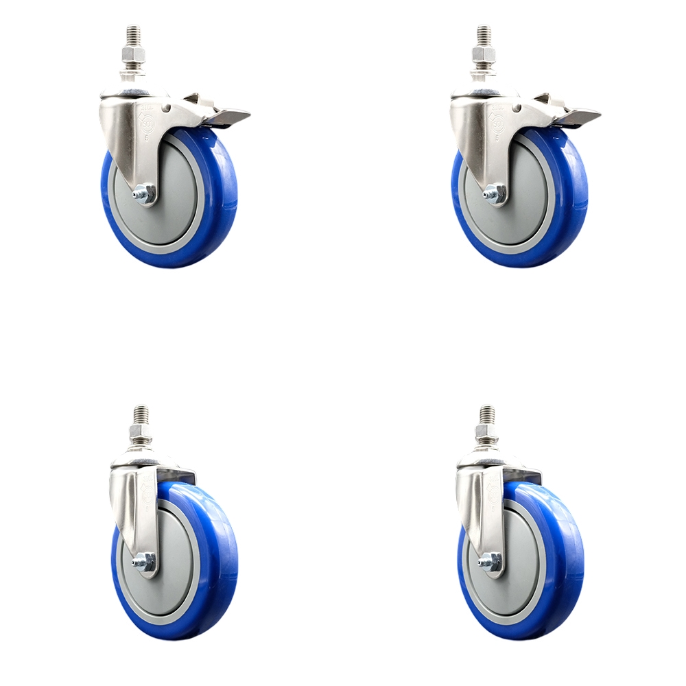 Poly Swivel Stem Caster with 5 in. Blue Caster Wheels, 12 mm Threaded Stems - 316 Stainless Steel Casters - Set of 4