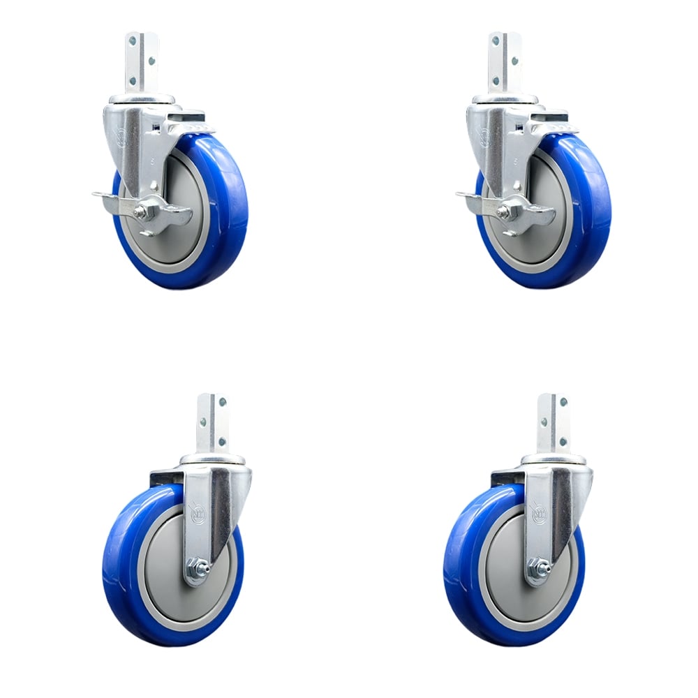Swivel Square Stem Caster with 5 x 1.25 in. Blue Poly Wheel, 0.75 x 2 in. Square Stem with 3 0.26 in. Diameter Mounting Holes - Set of 4
