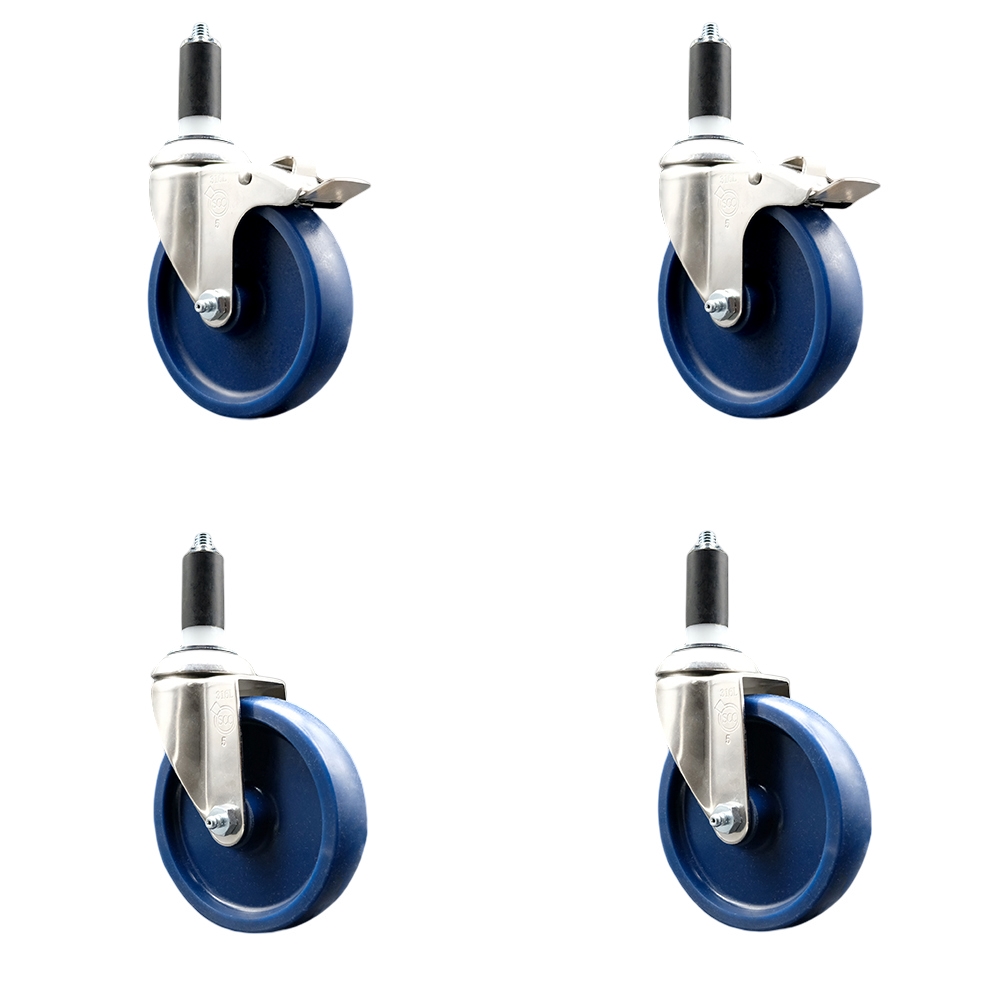Solid Poly Swivel Stem Caster with 5 in. Blue Caster Wheels, 1.25 in. Expanding Stem - 316 Stainless Steel Casters - Set of 4