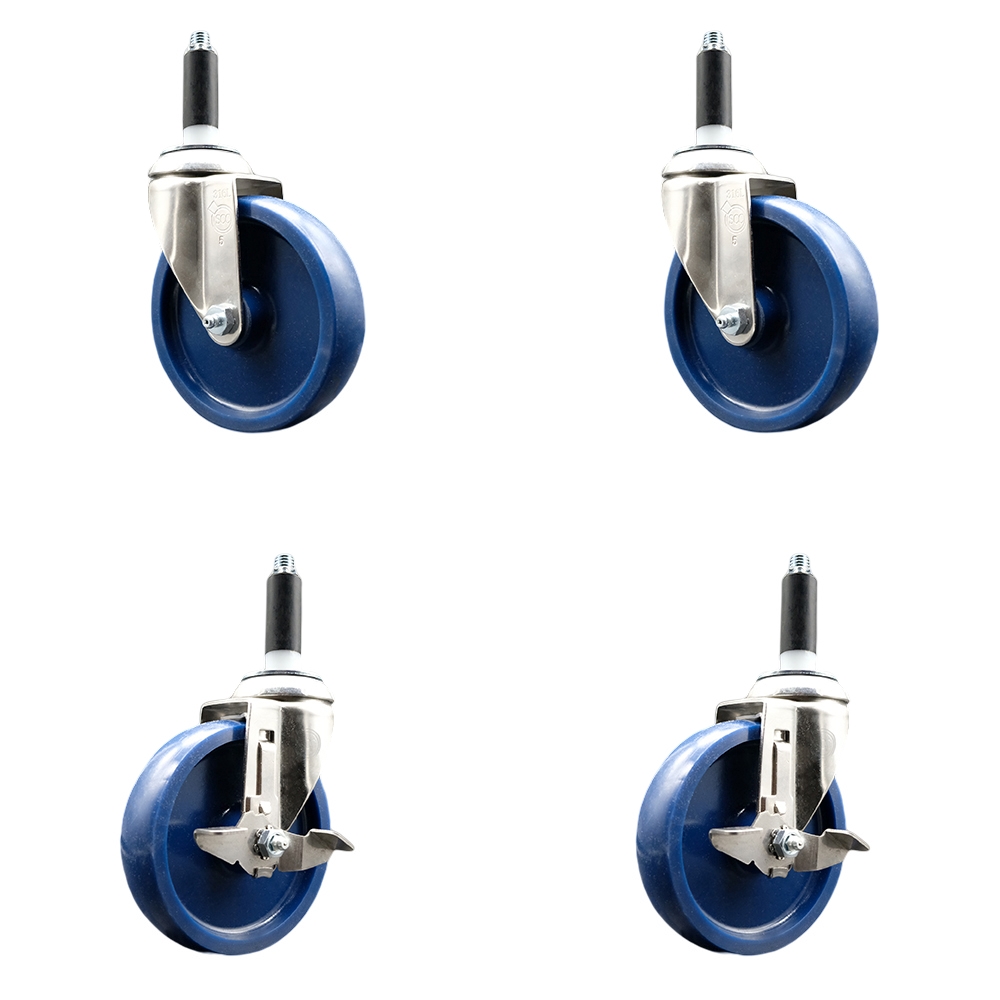Solid Poly Swivel Stem Caster with 5 in. Blue Caster Wheels, 0.75 in. Expanding Stems - 316 Stainless Steel Casters - Set of 4