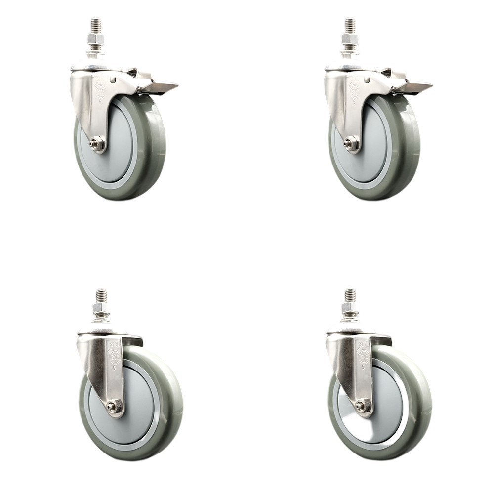 Poly Swivel Stem Caster with 5 in. Gray Caster Wheels, 0.38 in. Threaded Stems - 316 Stainless Steel Casters - Set of 4