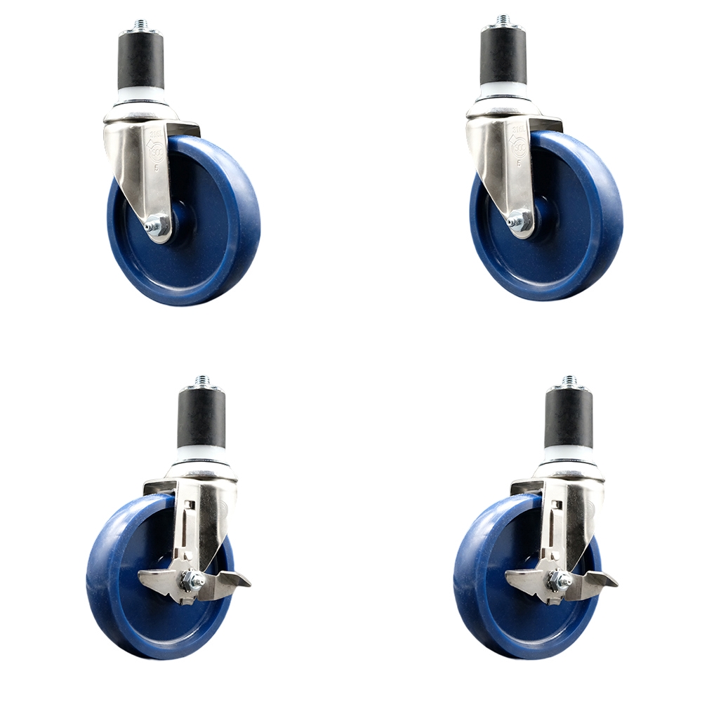 Solid Poly Swivel Stem Caster with 5 in. Blue Caster Wheels, 1.75 in. Expanding Stems - 316 Stainless Steel Casters - Set of 4